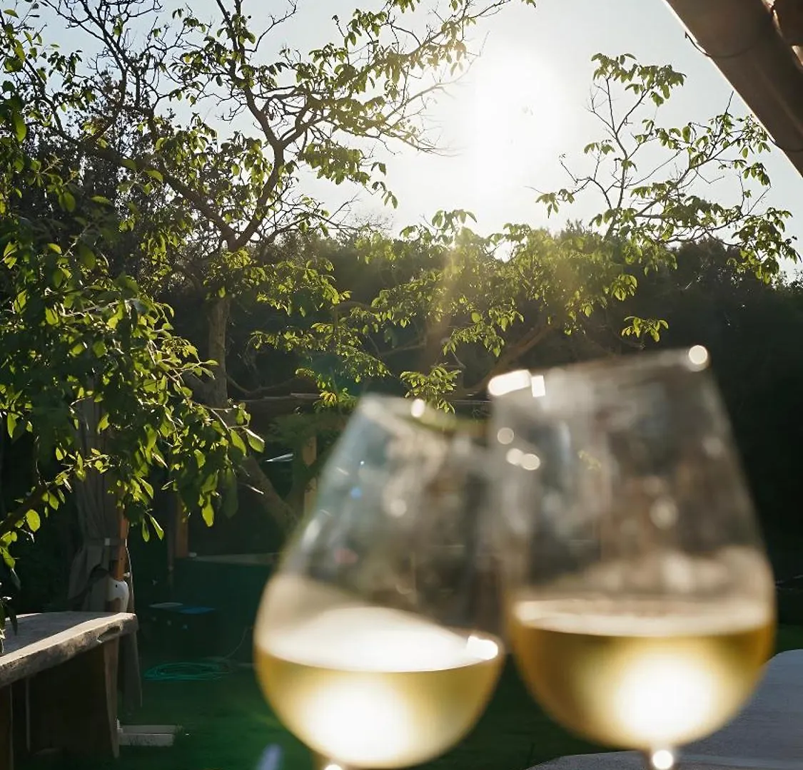 Podere Scoldasu - Apollo Massa Marittima Farm stay
