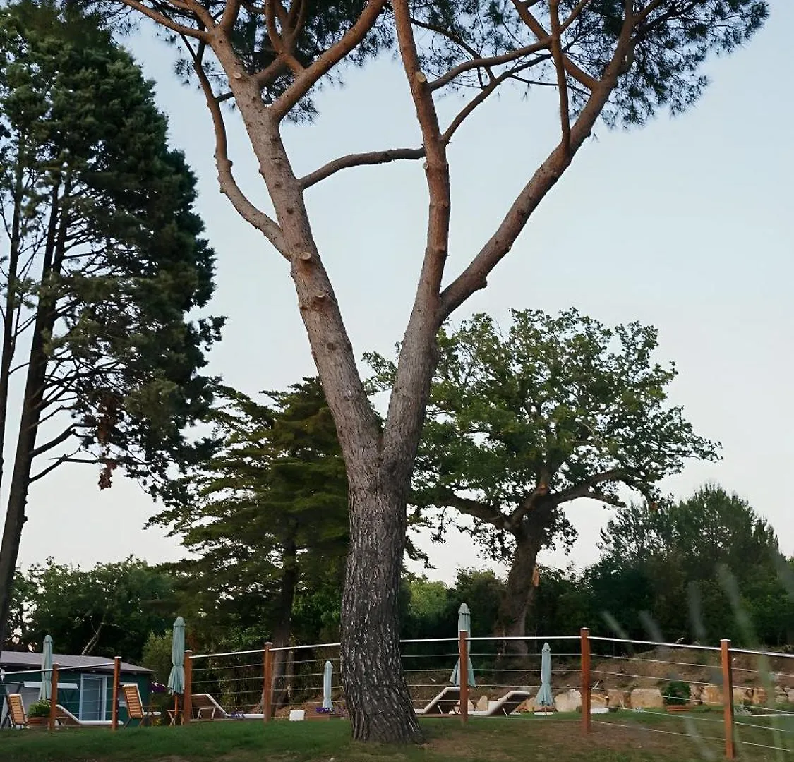 Podere Scoldasu - Apollo Massa Marittima Farm stay